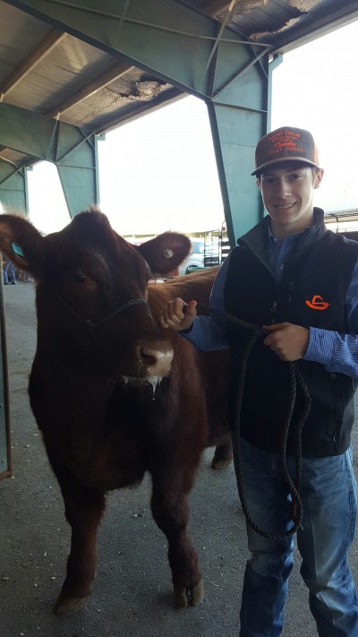 Sun Coast Resources sponsors Houston livestock show and rodeo calf scramble.